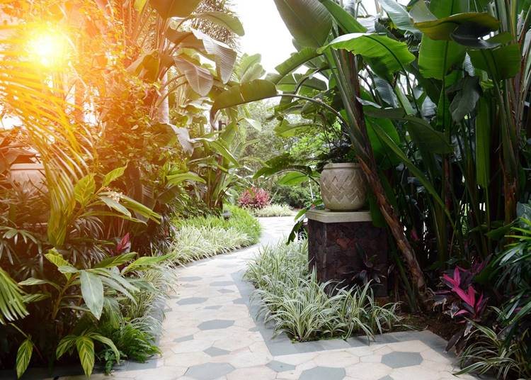 Garden Expo, 2020. tavasz (időpont keresése folyamatban)
