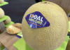 Ezüstérmes lett a Syngenta IDEAL sárgadinnyéje a Fruit Logistica kiállításon