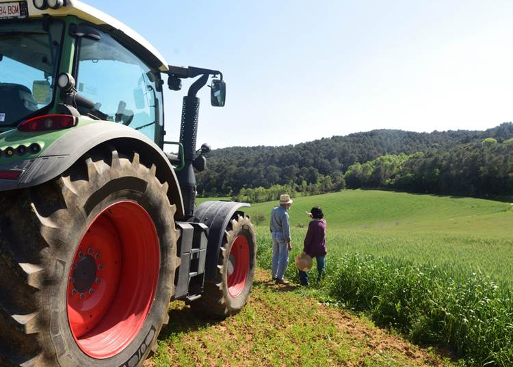 Mezőgazdasági gépkezelésre is jogosít az aranykalászos gazdaképzés