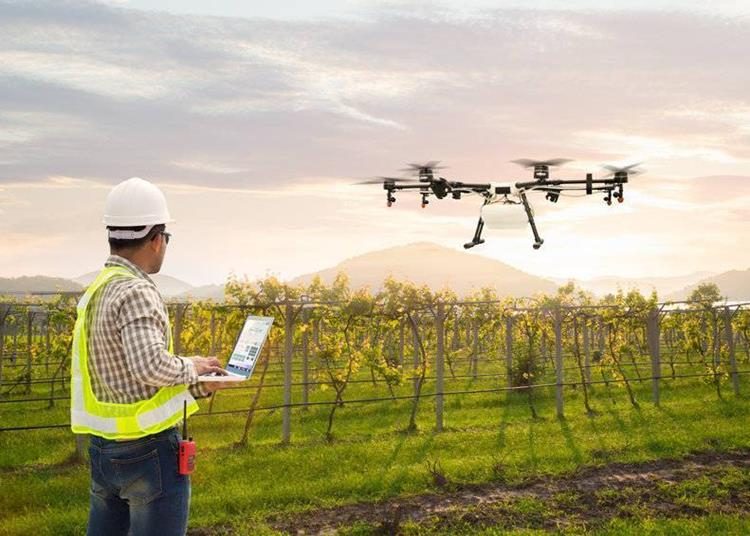 Növényvédelmi permetező drónpilóta képzés indul Nyíregyházán